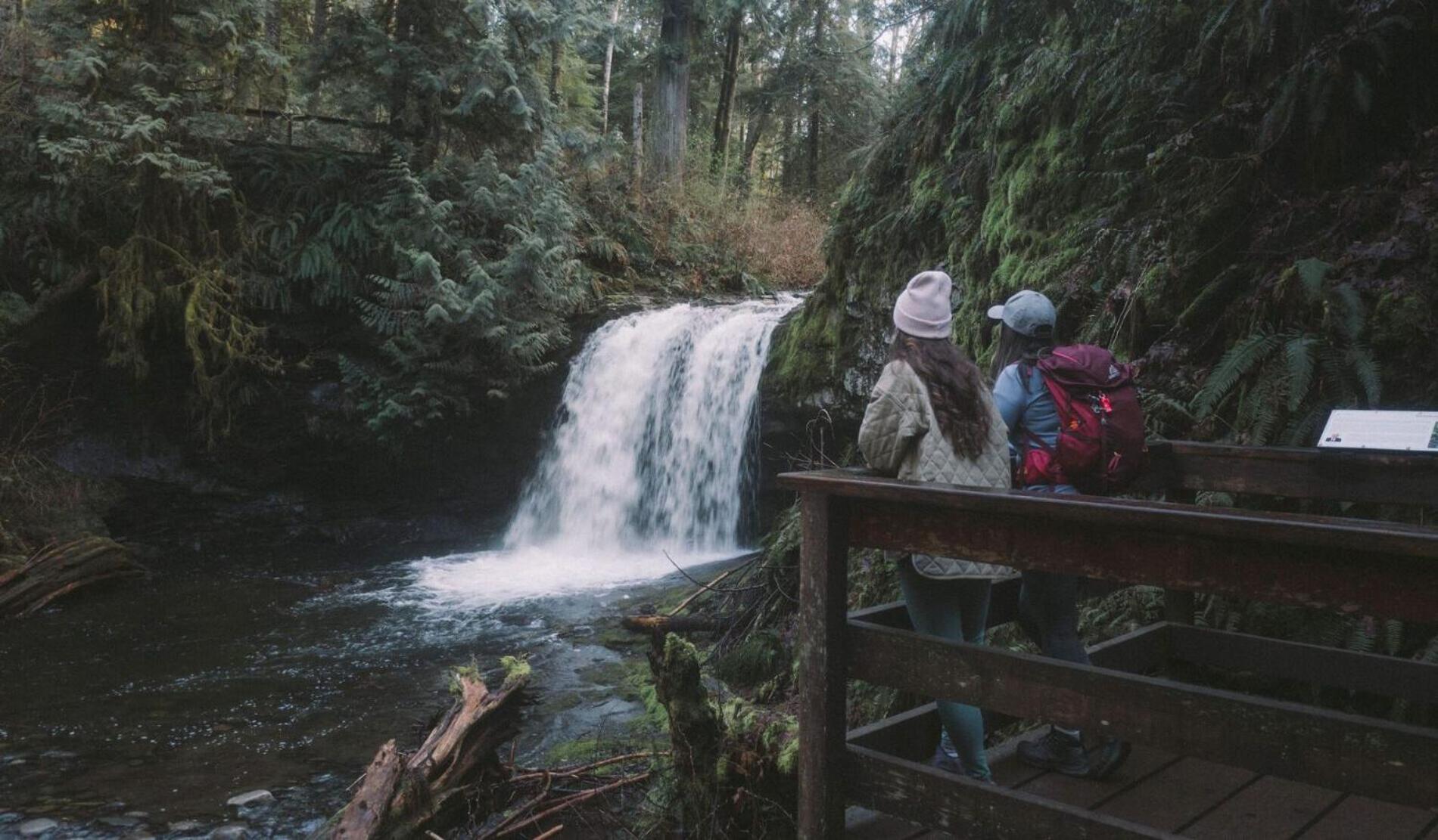 Cowichan Valley Guest Cottage Ladysmith Εξωτερικό φωτογραφία