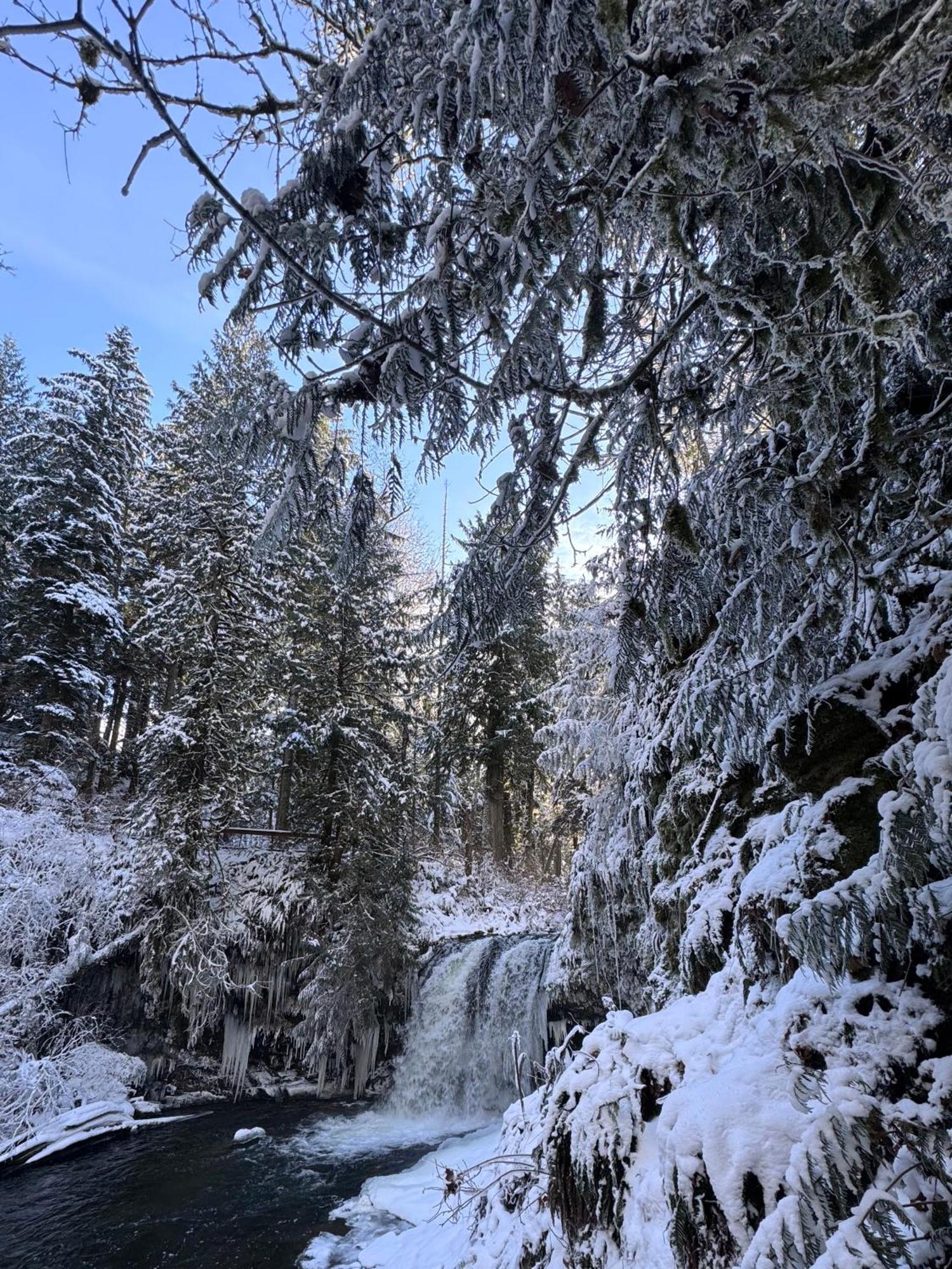 Cowichan Valley Guest Cottage Ladysmith Εξωτερικό φωτογραφία