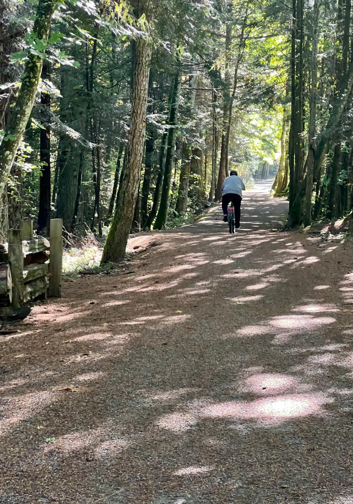 Cowichan Valley Guest Cottage Ladysmith Εξωτερικό φωτογραφία