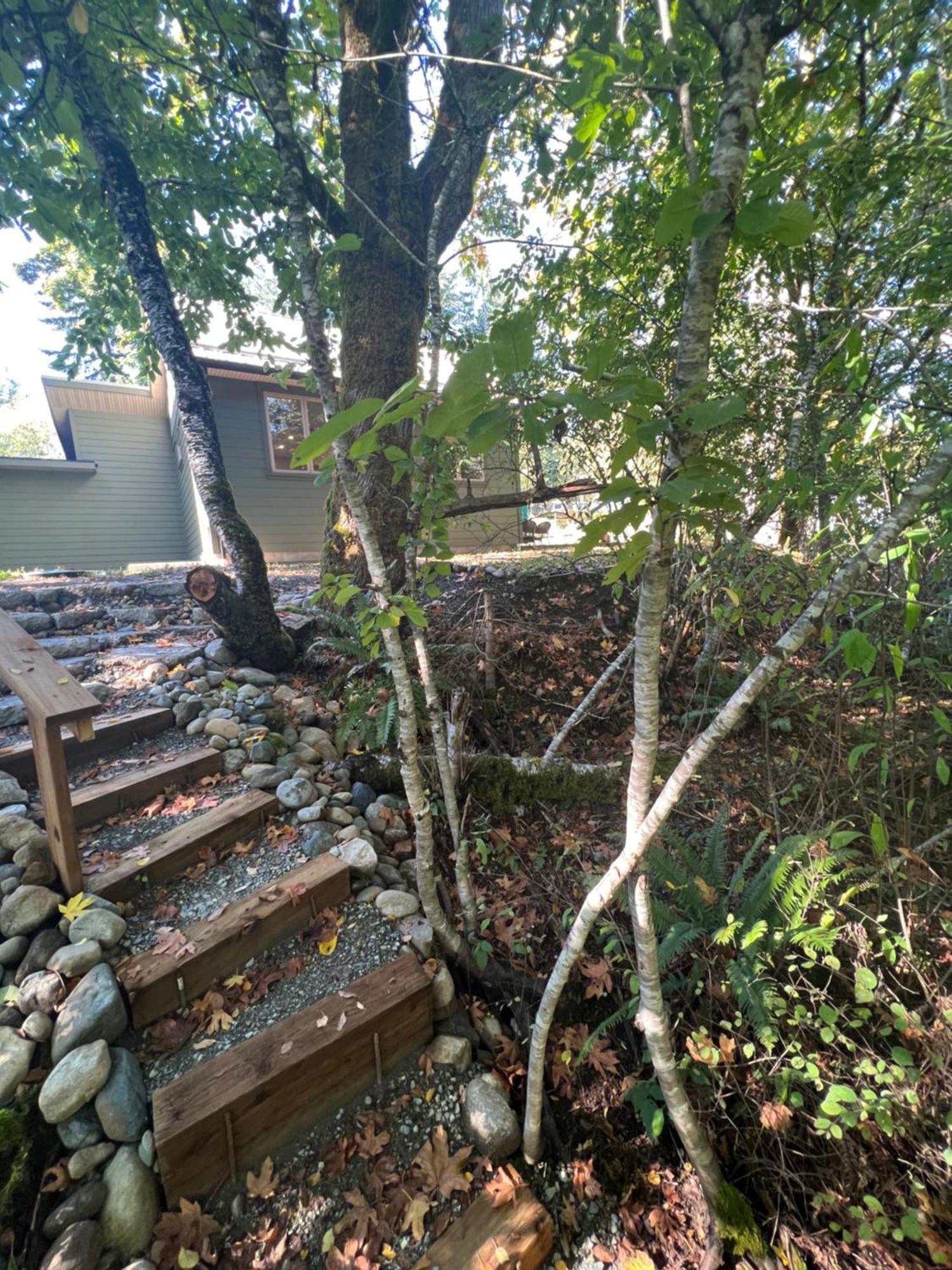 Cowichan Valley Guest Cottage Ladysmith Εξωτερικό φωτογραφία